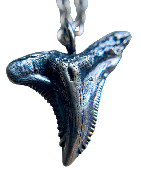 Hemipristis Shark Sterling Silver Necklace