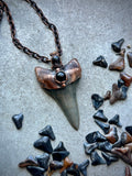 Fossil Mako Shark Tooth Copper Necklace
