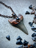 Fossil Mako Shark Tooth Copper Necklace